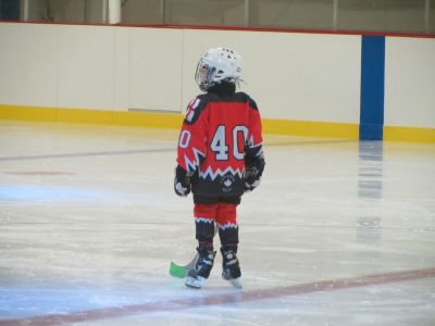 Werewolves First Training Session
