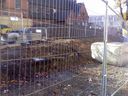 Filename=20111028_09_ss_wall_gone.jpg
Filesize=136KiB
Dimensions=800x600
Date added=Feb 17, 2012 20111028_09_ss_wall_gone.jpg