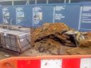 Filename=20121022_22_roadworks2.jpg
Filesize=404KiB
Dimensions=800x600
Date added=Oct 24, 2012 20121022_22_roadworks2.jpg